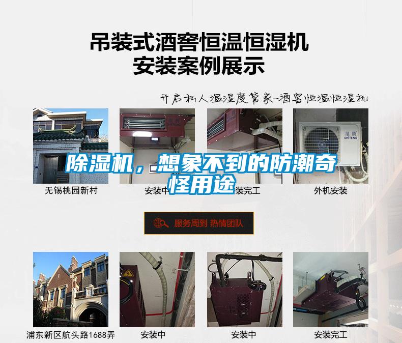 除濕機,想象不到的防潮奇怪用途