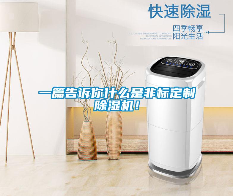 一篇告訴你什么是非標(biāo)定制除濕機(jī)!