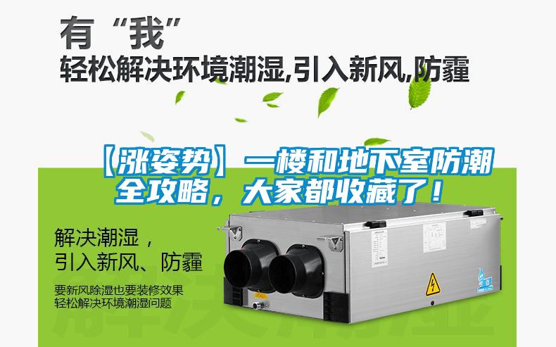 【漲姿勢】一樓和地下室防潮全攻略，大家都收藏了！