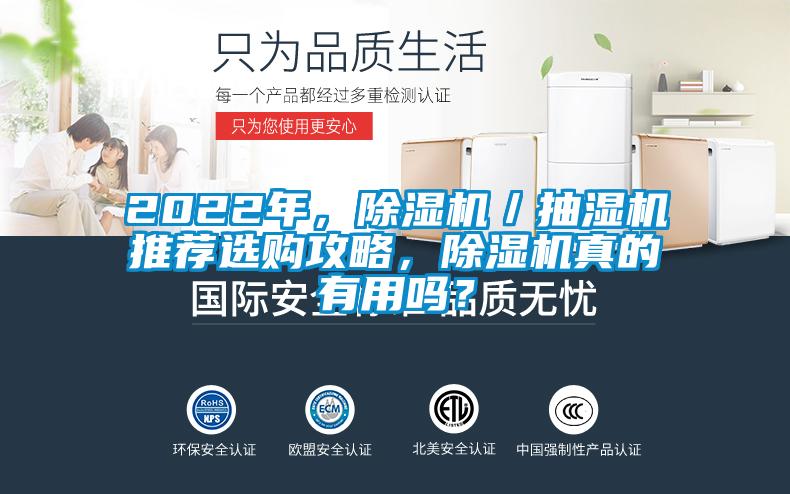 2022年，除濕機／抽濕機推薦選購攻略，除濕機真的有用嗎？