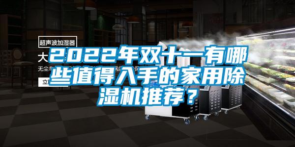 2022年雙十一有哪些值得入手的家用除濕機推薦?