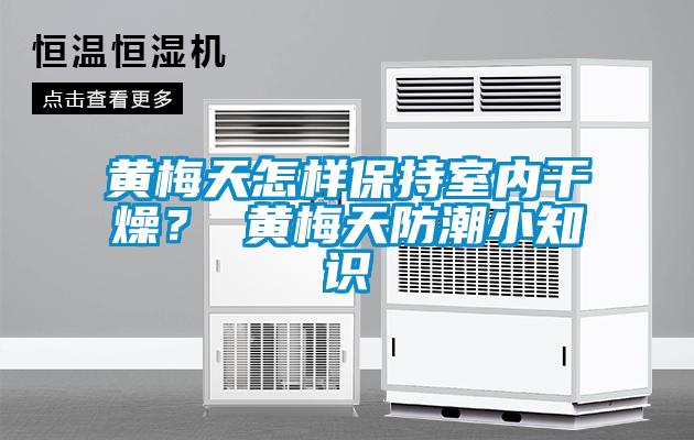 黃梅天怎樣保持室內干燥？ 黃梅天防潮小知識