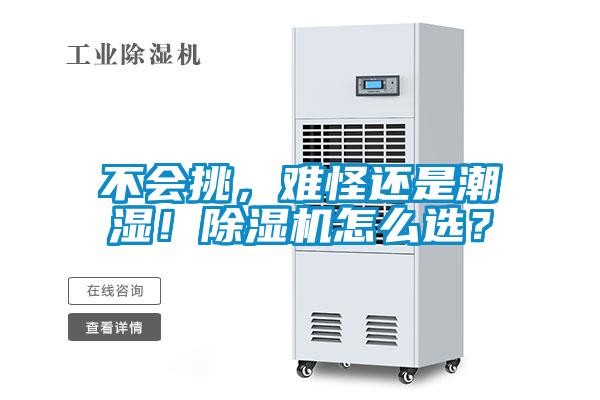 不會挑,難怪還是潮濕!除濕機怎么選?