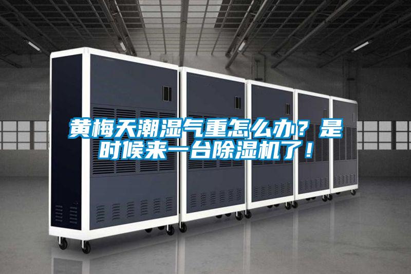 黃梅天潮濕氣重怎么辦？是時候來一臺除濕機了！