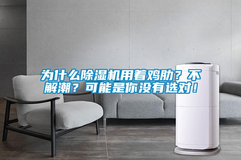 為什么除濕機用著雞肋？不解潮？可能是你沒有選對！