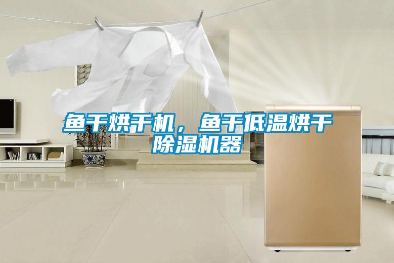 魚干烘干機，魚干低溫烘干除濕機器