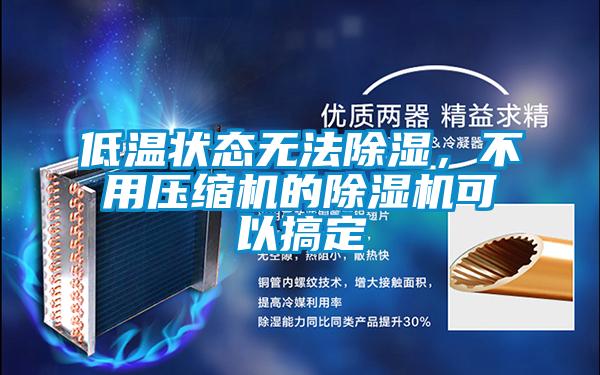 低溫狀態(tài)無法除濕，不用壓縮機(jī)的除濕機(jī)可以搞定