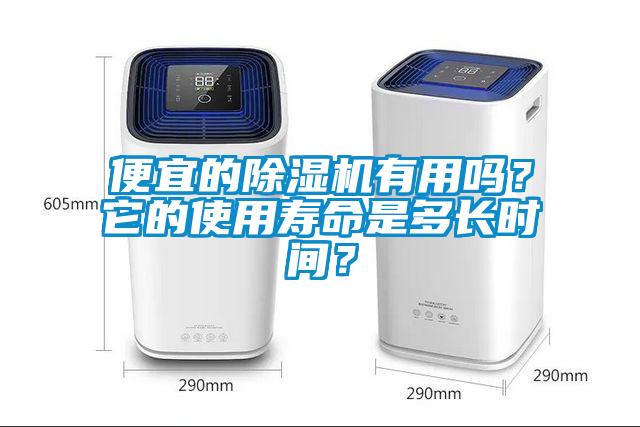 便宜的除濕機有用嗎？它的使用壽命是多長時間？