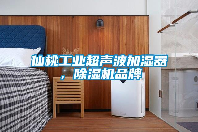 仙桃工業超聲波加濕器，除濕機品牌