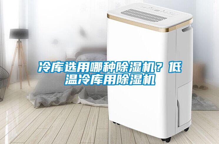 冷庫選用哪種除濕機？低溫冷庫用除濕機
