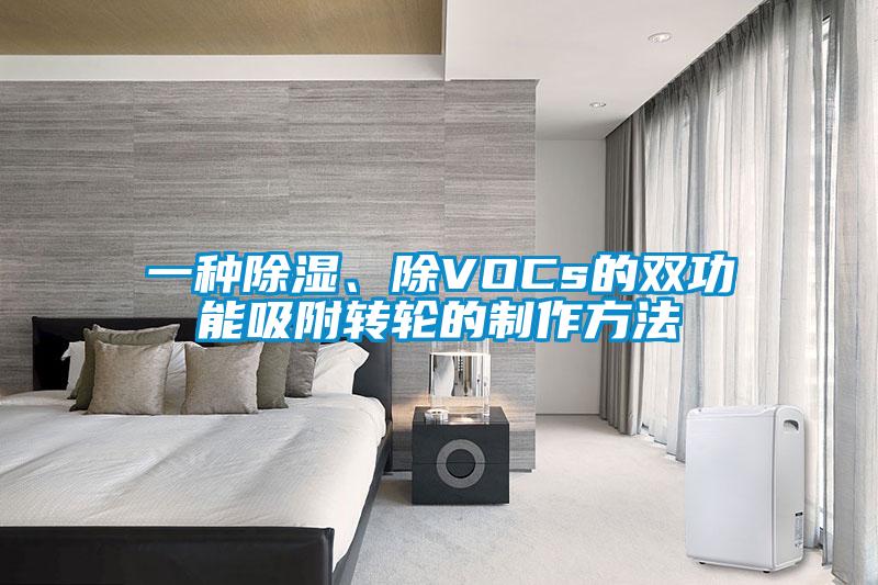 一種除濕、除VOCs的雙功能吸附轉輪的制作方法