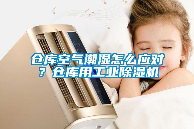 倉庫空氣潮濕怎么應對？倉庫用工業除濕機