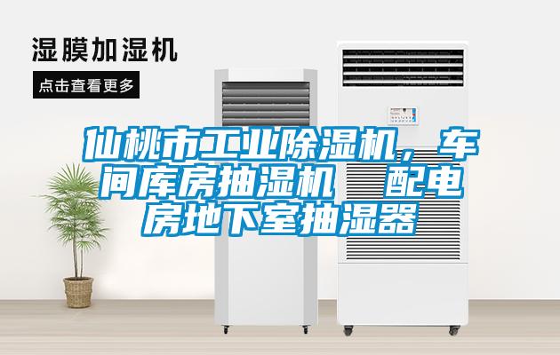 仙桃市工業除濕機，車間庫房抽濕機  配電房地下室抽濕器