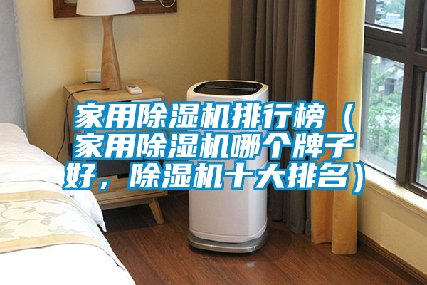 家用除濕機(jī)排行榜（家用除濕機(jī)哪個(gè)牌子好，除濕機(jī)十大排名）
